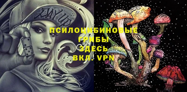 a pvp Ладушкин