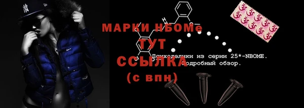 стаф Лабытнанги