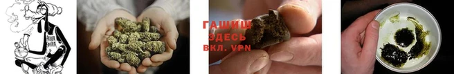 стаф Лабытнанги