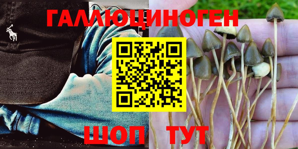 Псилоцибиновые грибы мухоморы Лиски