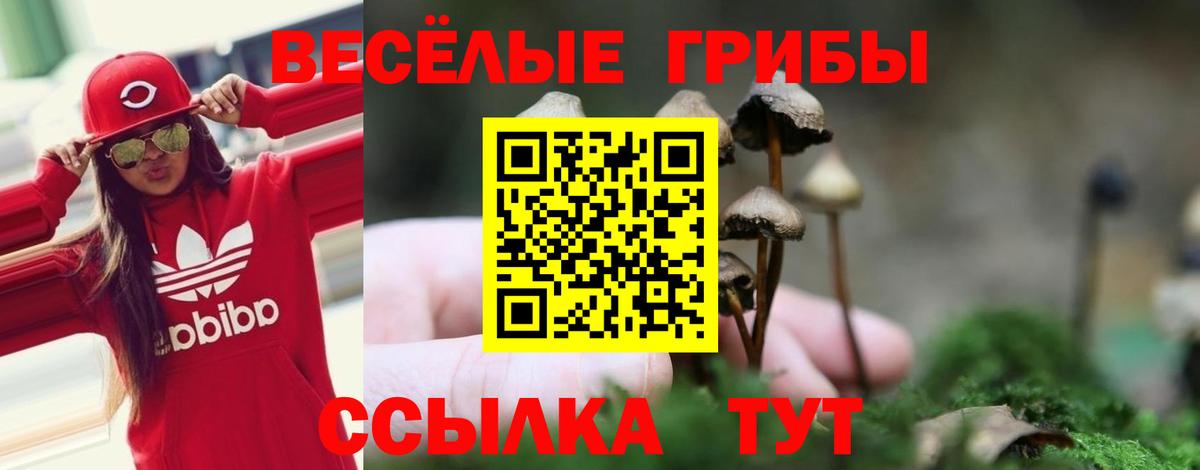 Псилоцибиновые грибы ЛСД  Вход с VPN  Лиски 